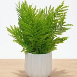 Artificial Fern Plant in White Pot for Home Decor | কৃত্রিম ফার্ন গাছ