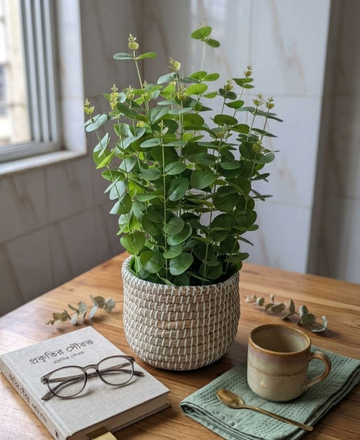 Artificial Eucalyptus Plant in Woven Basket Pot for Home Decor | কৃত্রিম ইউক্যালিপটাস গাছ