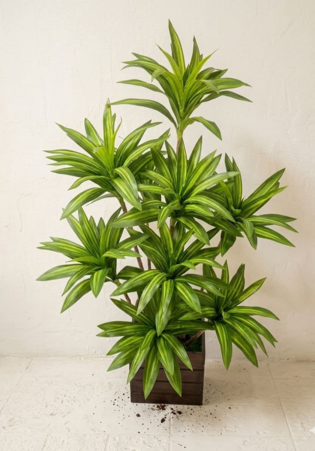 Artificial Dracaena Plant in Wooden Pot for Home Decor | কৃত্রিম ড্রাসিনা গাছ