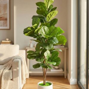 Artificial Fiddle Leaf Fig Plant with Pot for Home Decor | কৃত্রিম ফিডল লিফ ফিগ গাছ